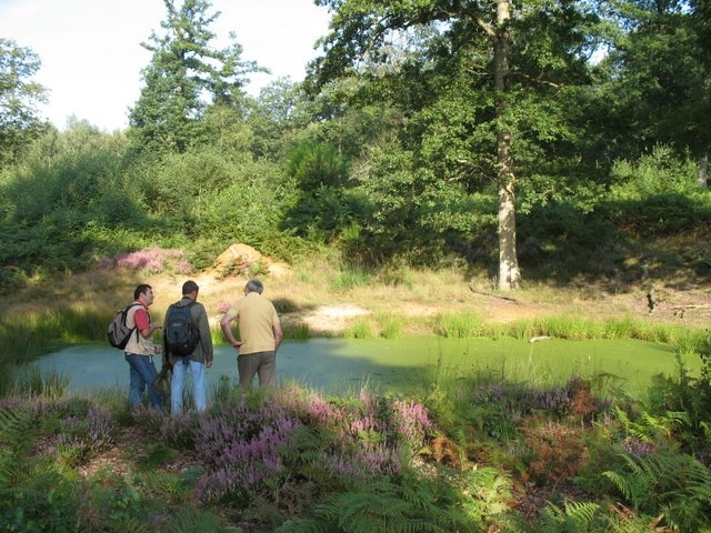 2007 08 Bois de Rochefort 06